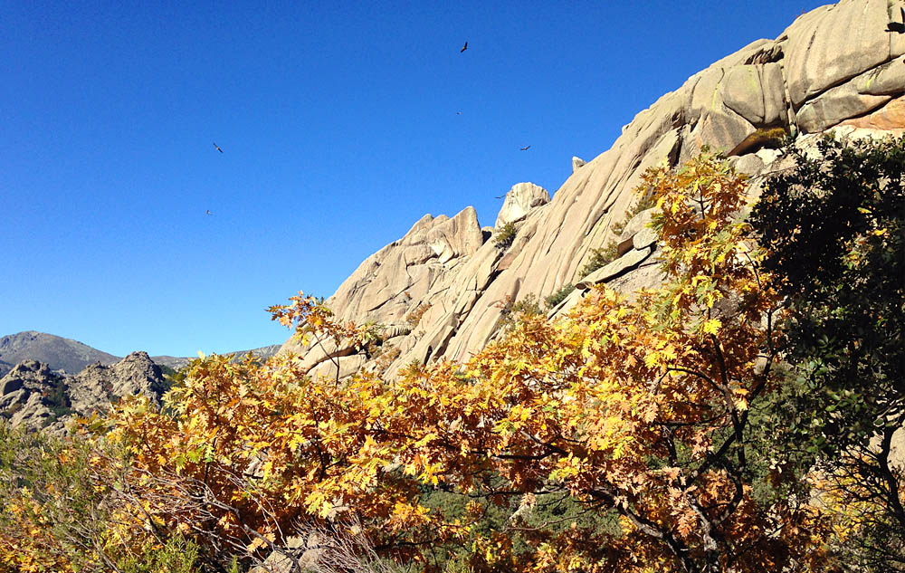 Hike & Camp in La Pedriza, Madrid. Hiking in Madrid.