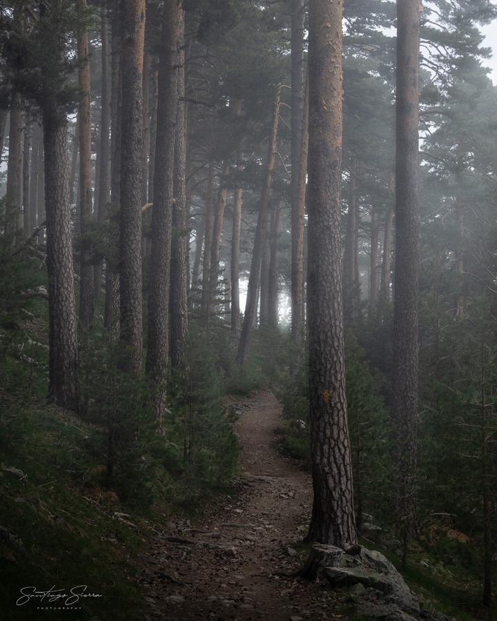 Hiking in Madrid: Cercedilla & Las Dehesas