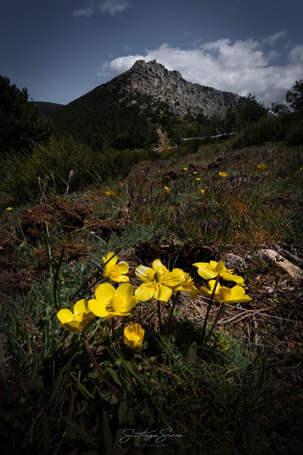 Hiking in Madrid: Cercedilla & Las Dehesas