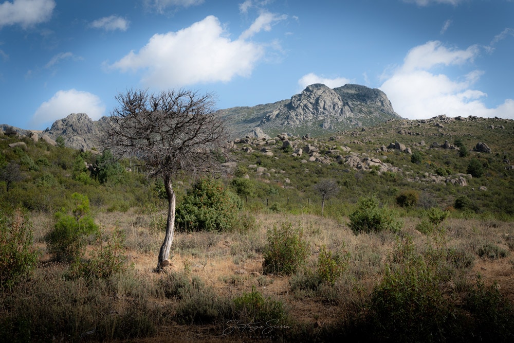 Hiking in Madrid: Navacerrada & Siete Picos